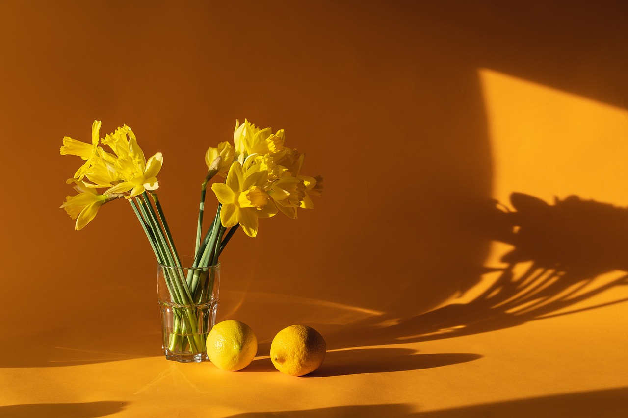 Top 5 Must-Have Home Decor Products for a Cozy Living Space